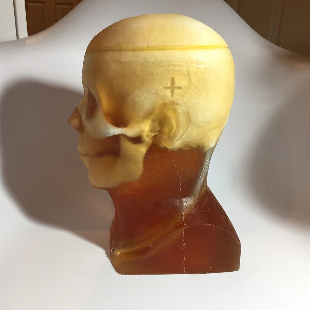 Adult Head (Openable) for X-Ray CT, US, MRI