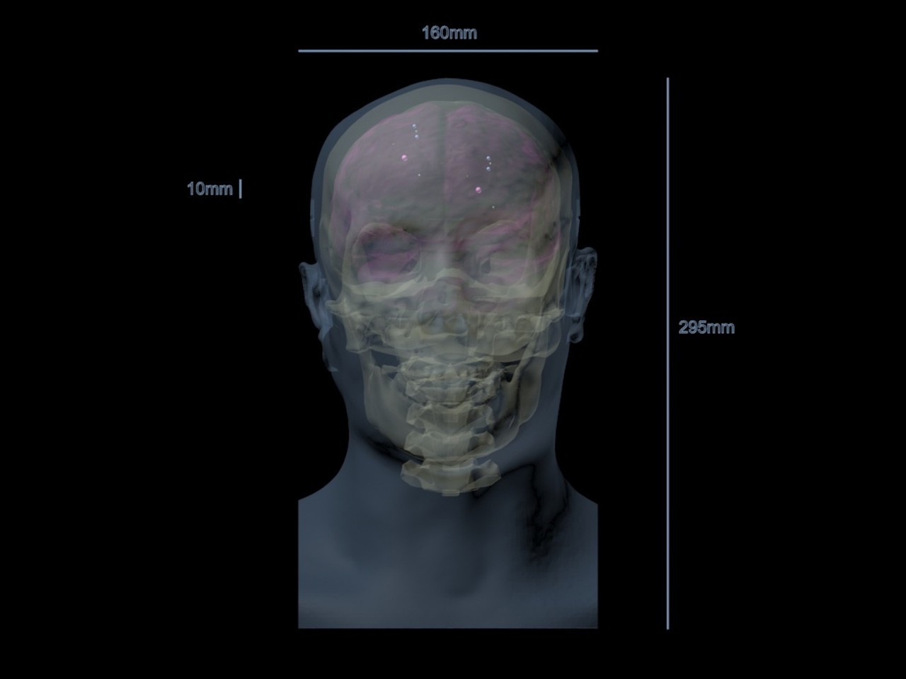 Static Adult Male Head Phantom Model - Design