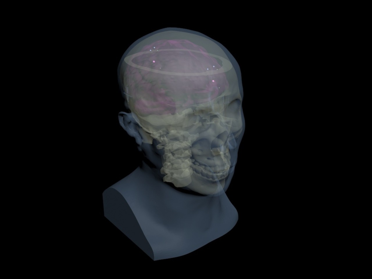 Static Adult Male Head Phantom Model - Design