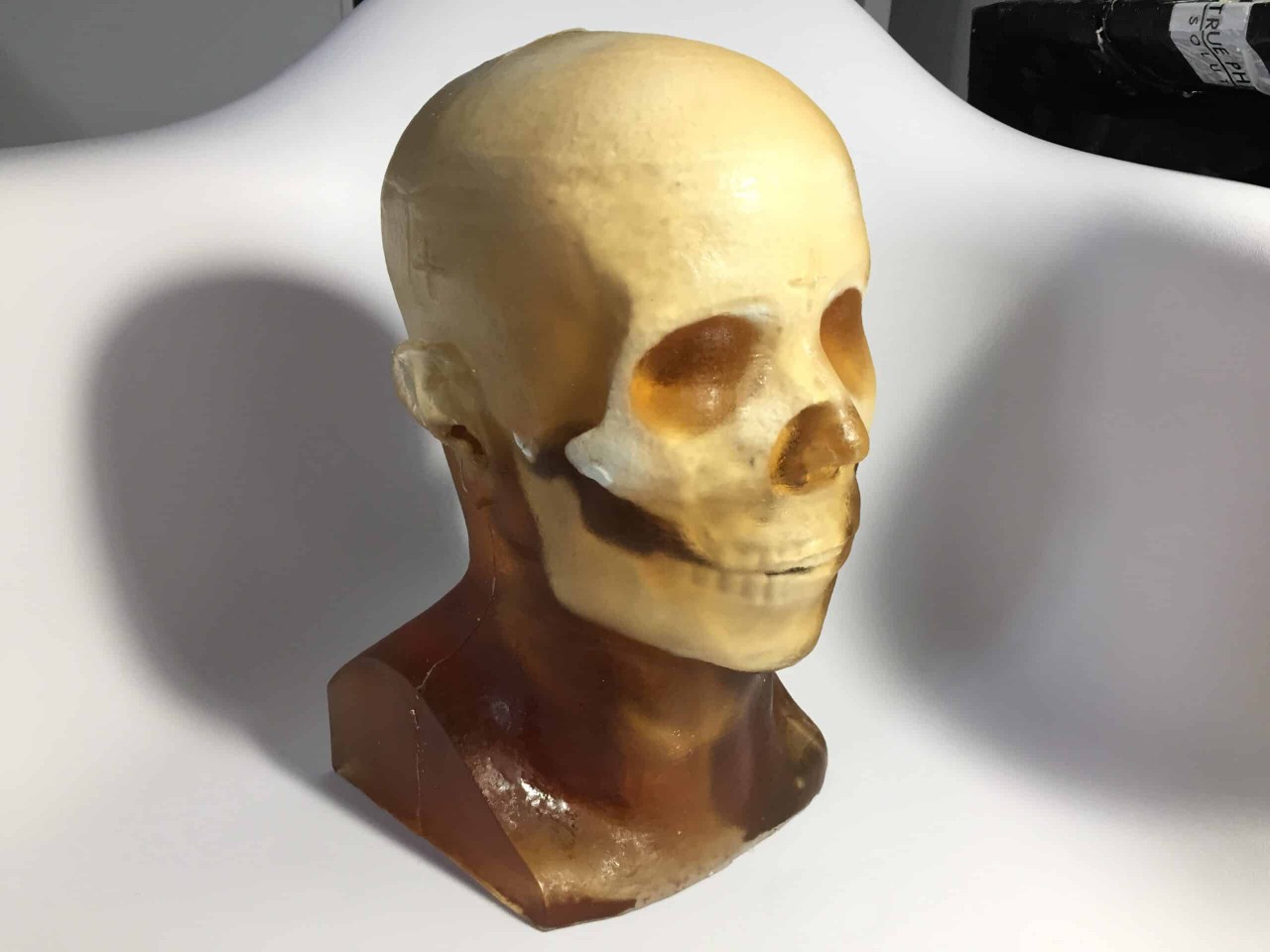 Static Adult Male Head Phantom Model
