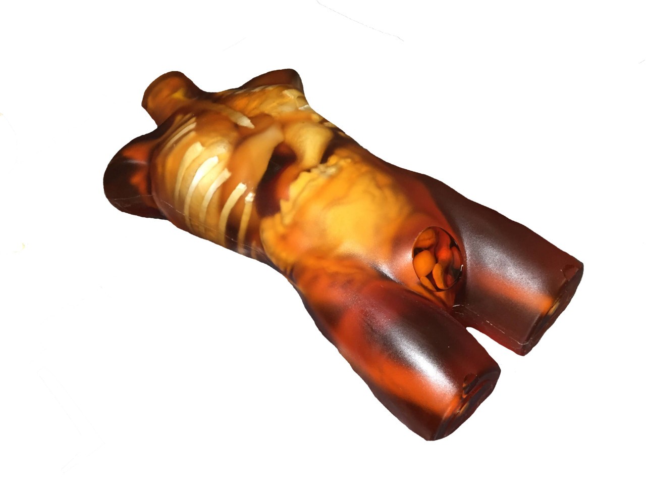 Adult Male Human Torso Phantom Model