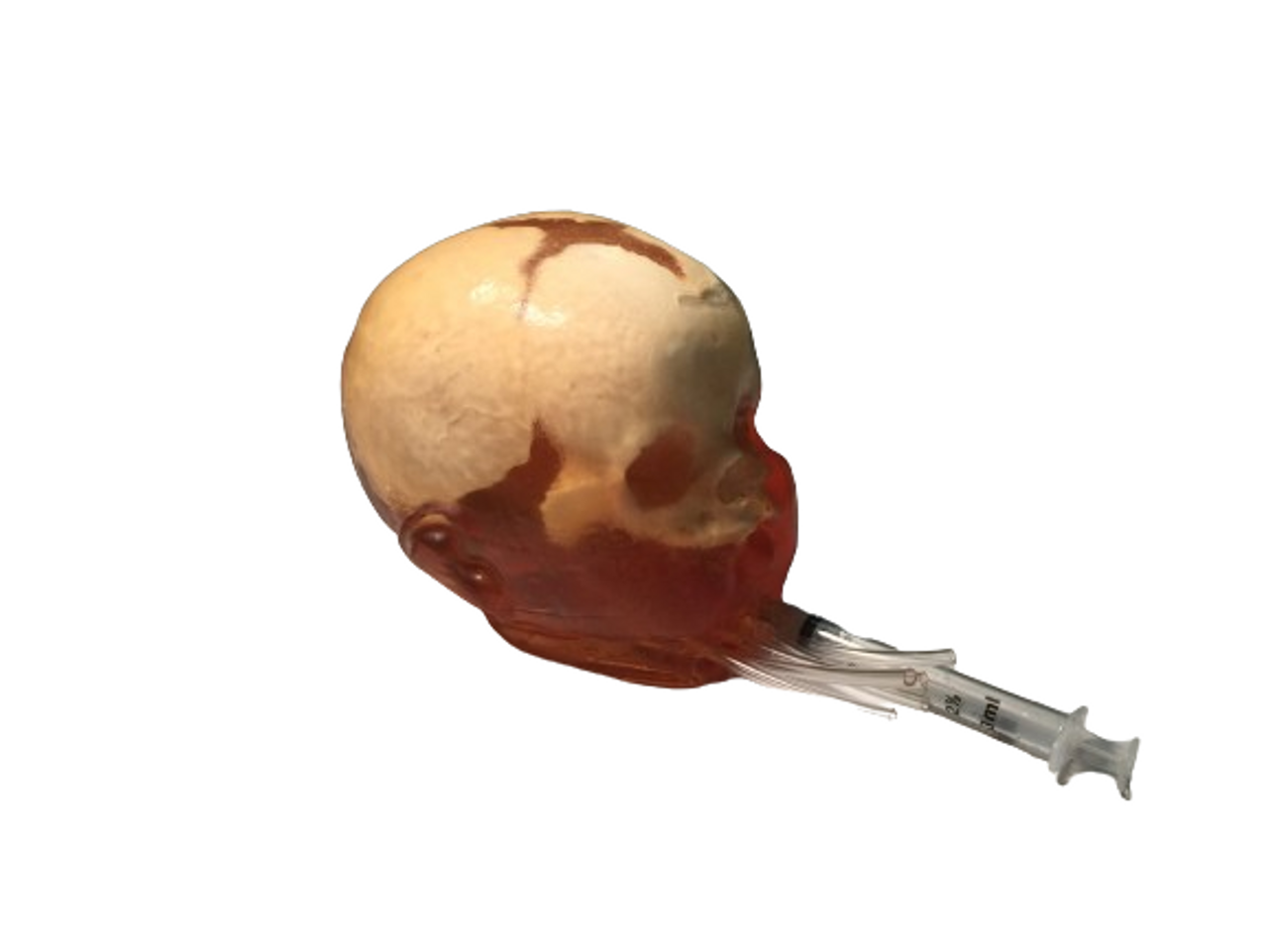 Dynamic Newborn Baby Head Phantom Model