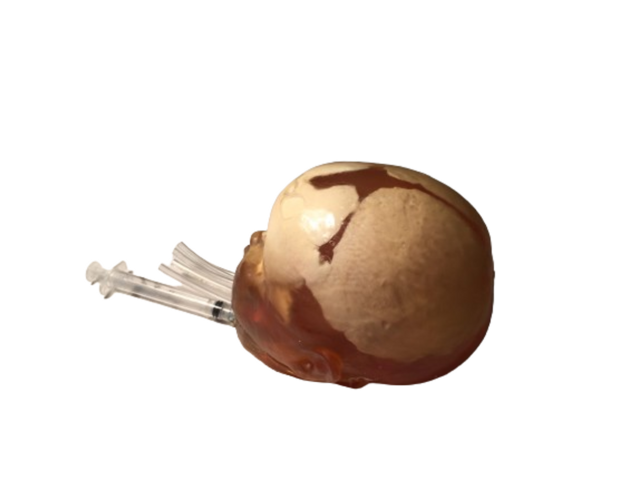 Dynamic Newborn Baby Head Phantom Model