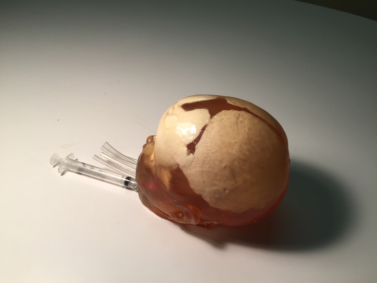 Dynamic Newborn Baby Head Phantom Model