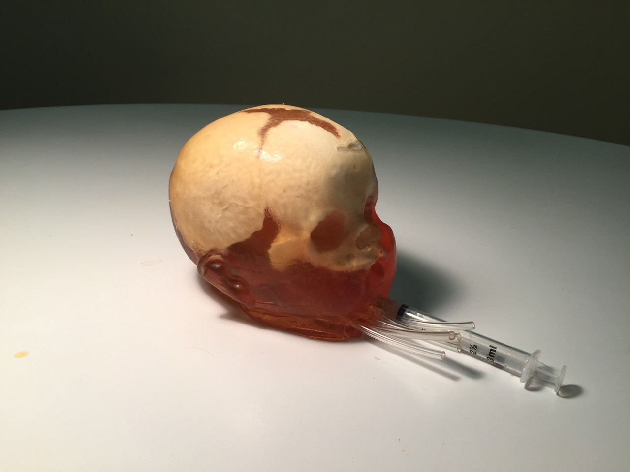 Dynamic Newborn Baby Head Phantom Model
