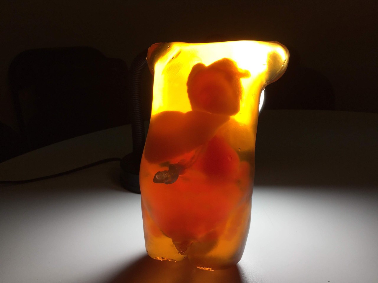 Newborn Baby Torso Phantom Model