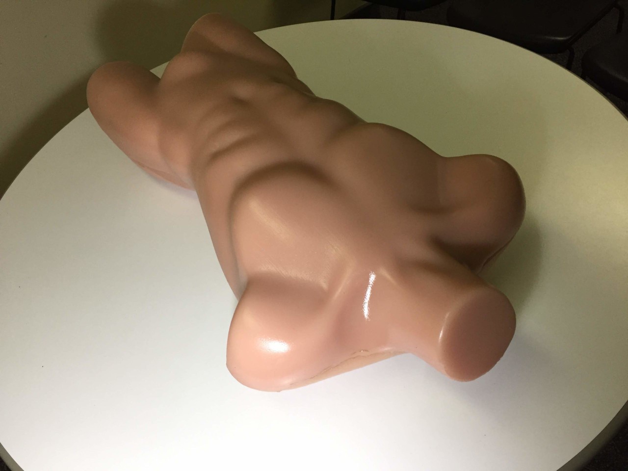 Adult Male Torso Sonography Phantom