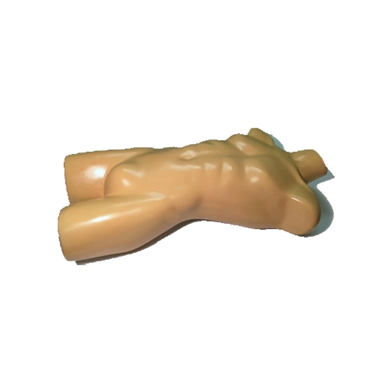 Adult Male Torso Sonography Phantom
