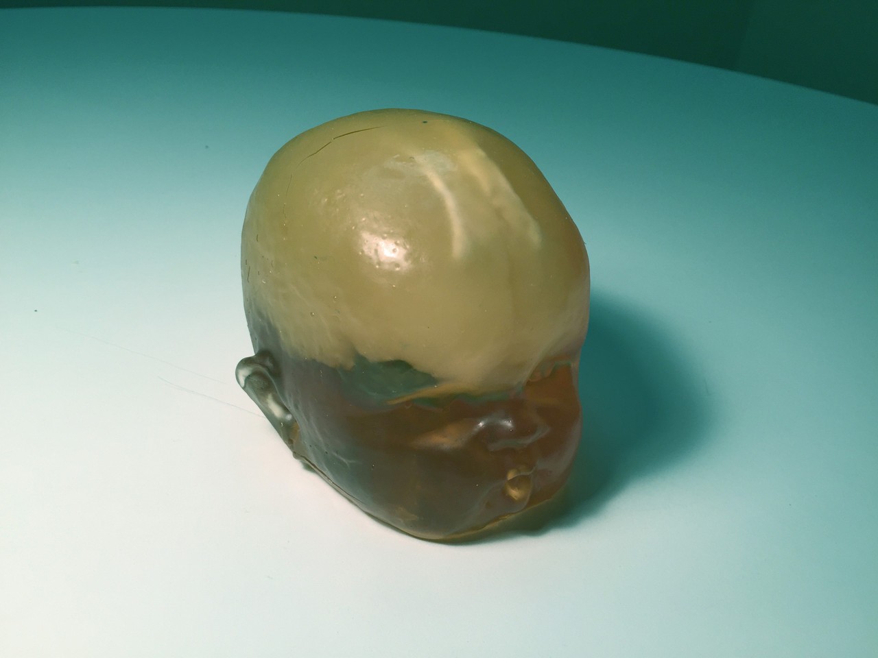 Newborn Baby Simple Head Phantom Model