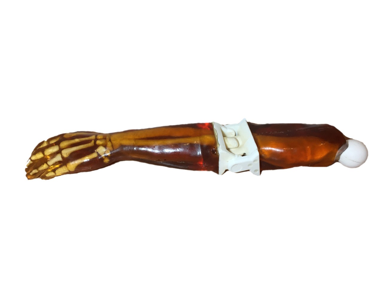 Adult Arm X-Ray Phantom Model