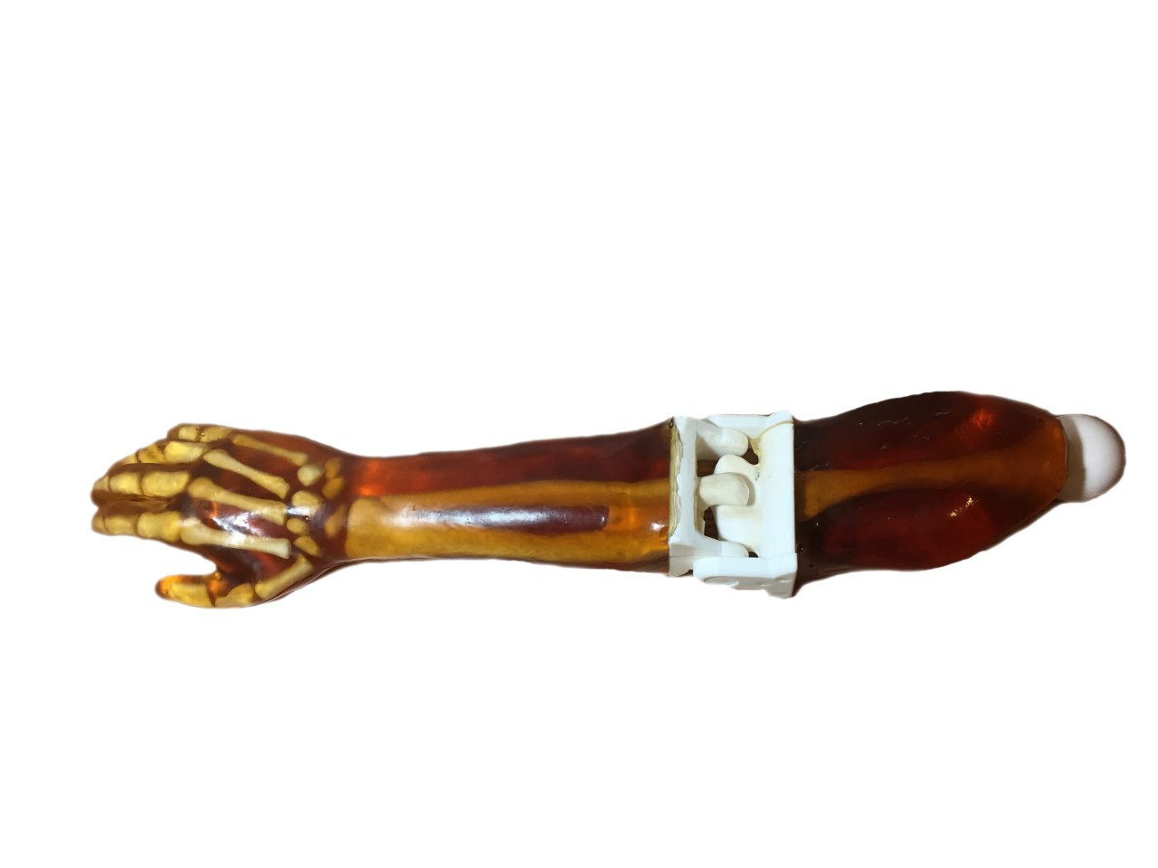 Adult Arm X-Ray Phantom Model