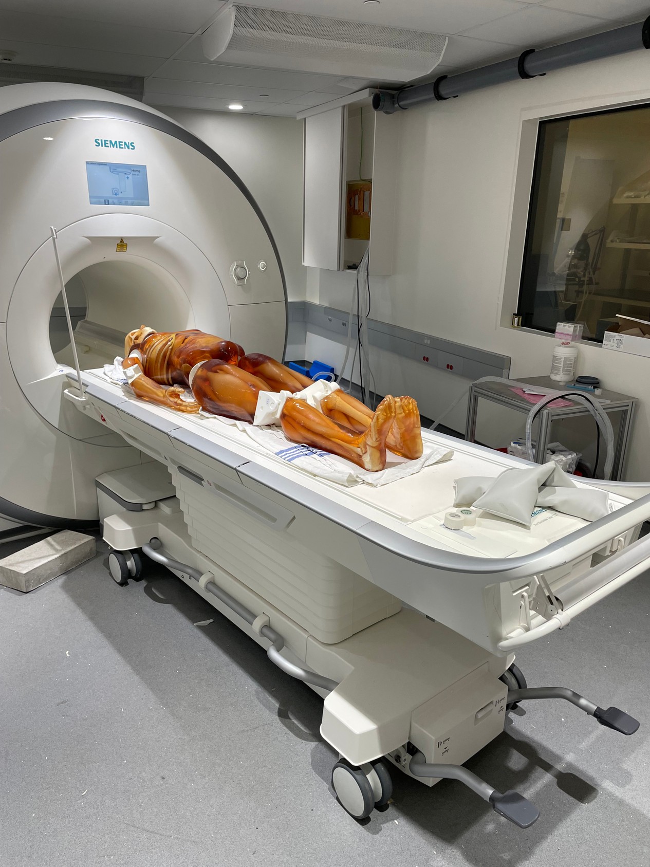 Adult Male Full Body X-Ray/CT and MRI Phantom Model
