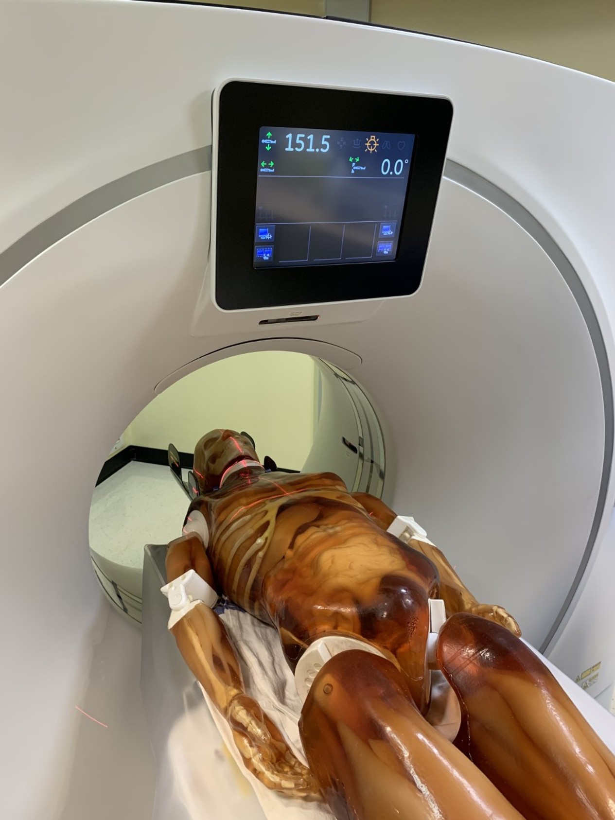 Adult Male Full Body X-Ray/CT and MRI Phantom Model
