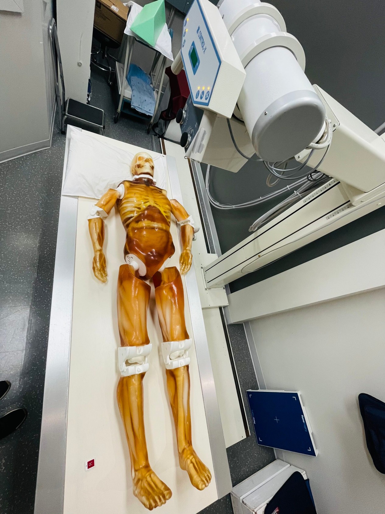 Adult Male Full Body X-Ray/CT and MRI Phantom Model