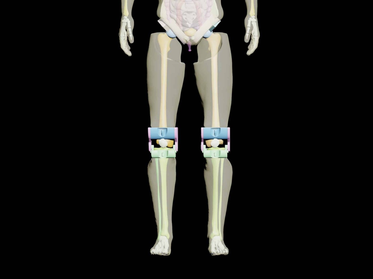 Adult Male Full Body X-Ray/CT and MRI Phantom Model - Product designs