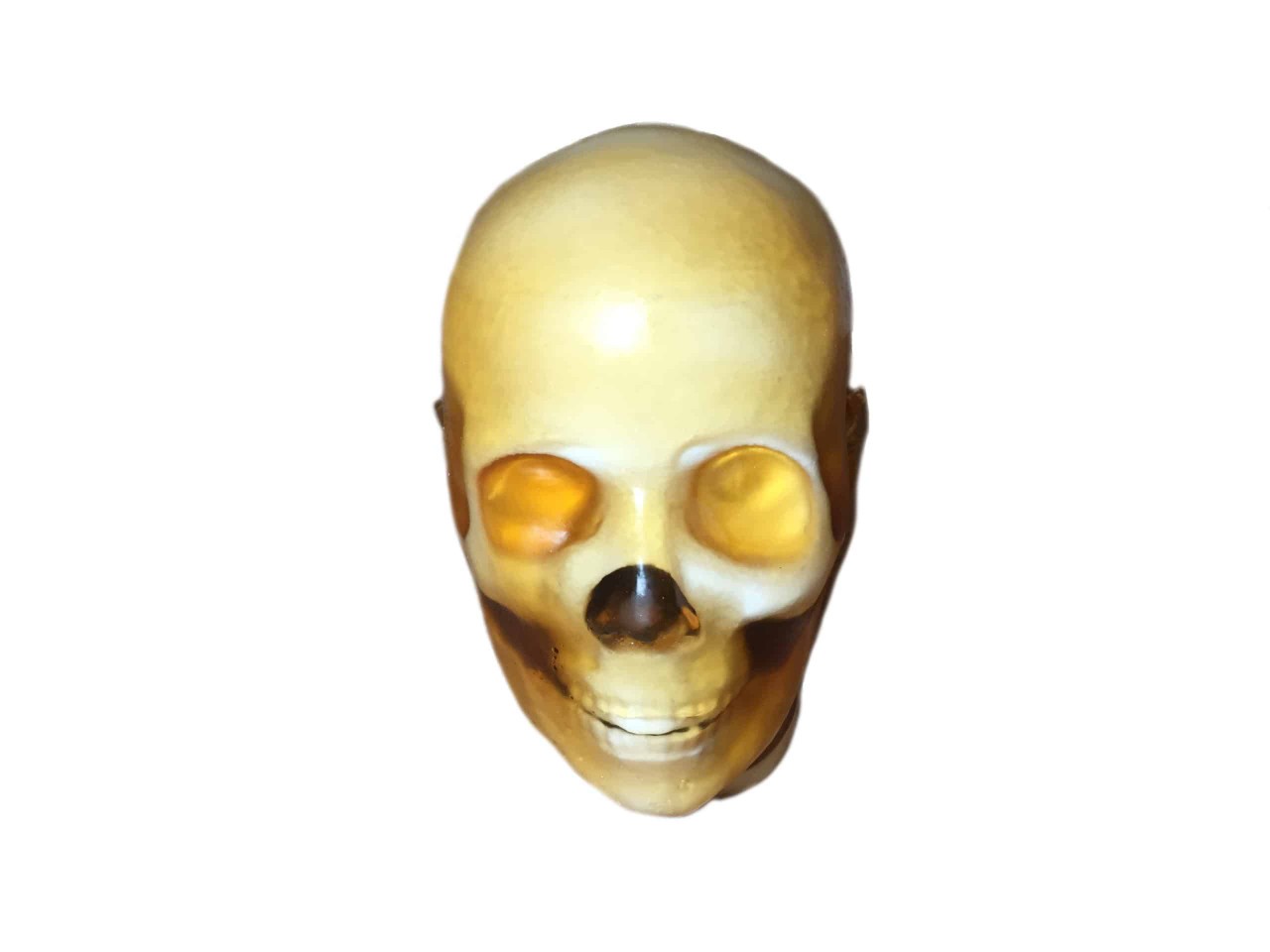 Adult Male Full Body X-Ray/CT and MRI Phantom Model - Product parts