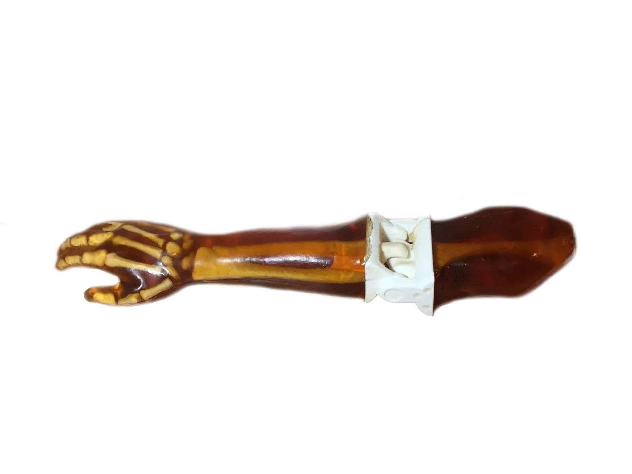 Adult Male Full Body X-Ray/CT and MRI Phantom Model - Product parts