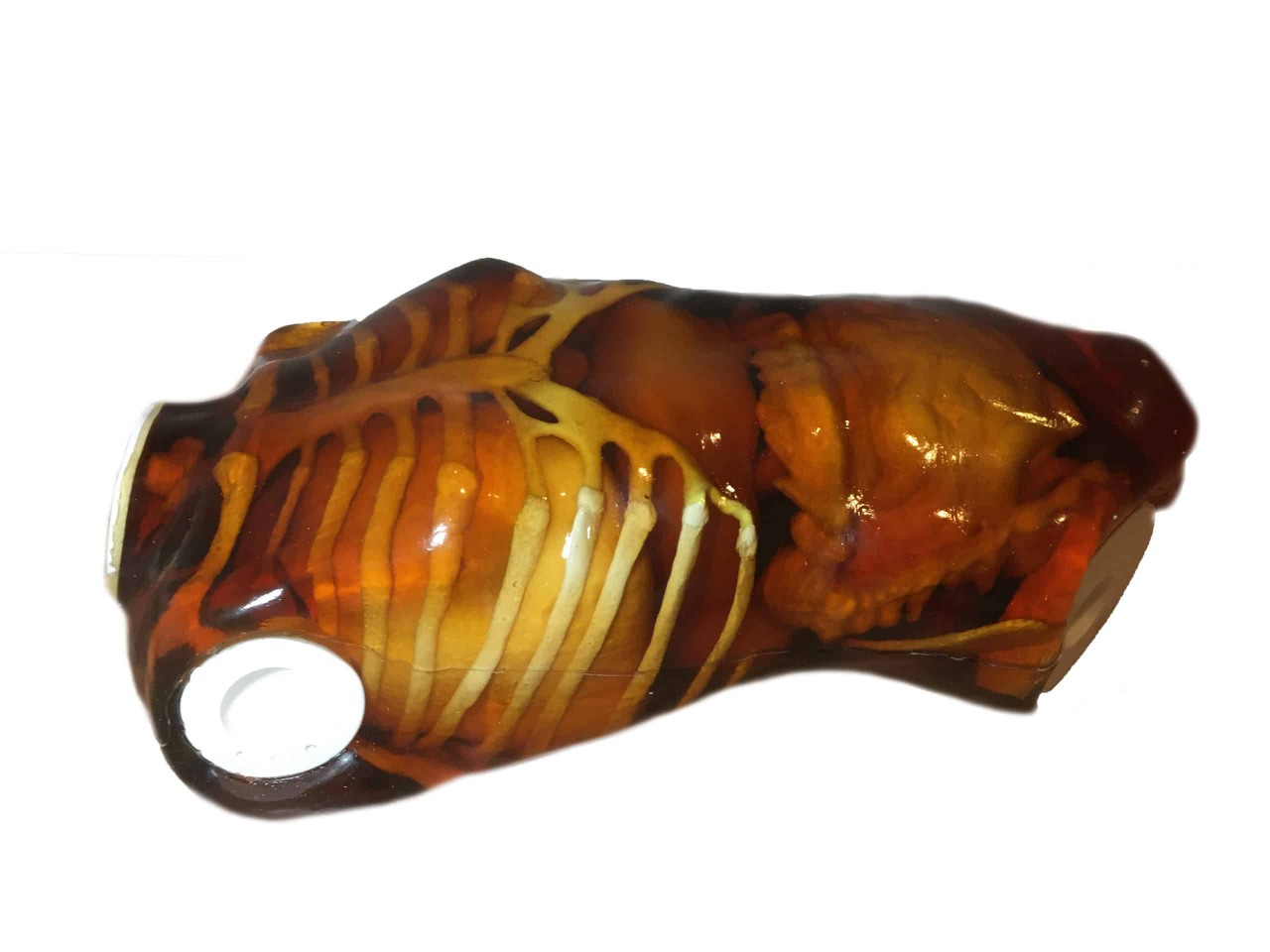 Adult Male Full Body X-Ray/CT and MRI Phantom Model - Product parts
