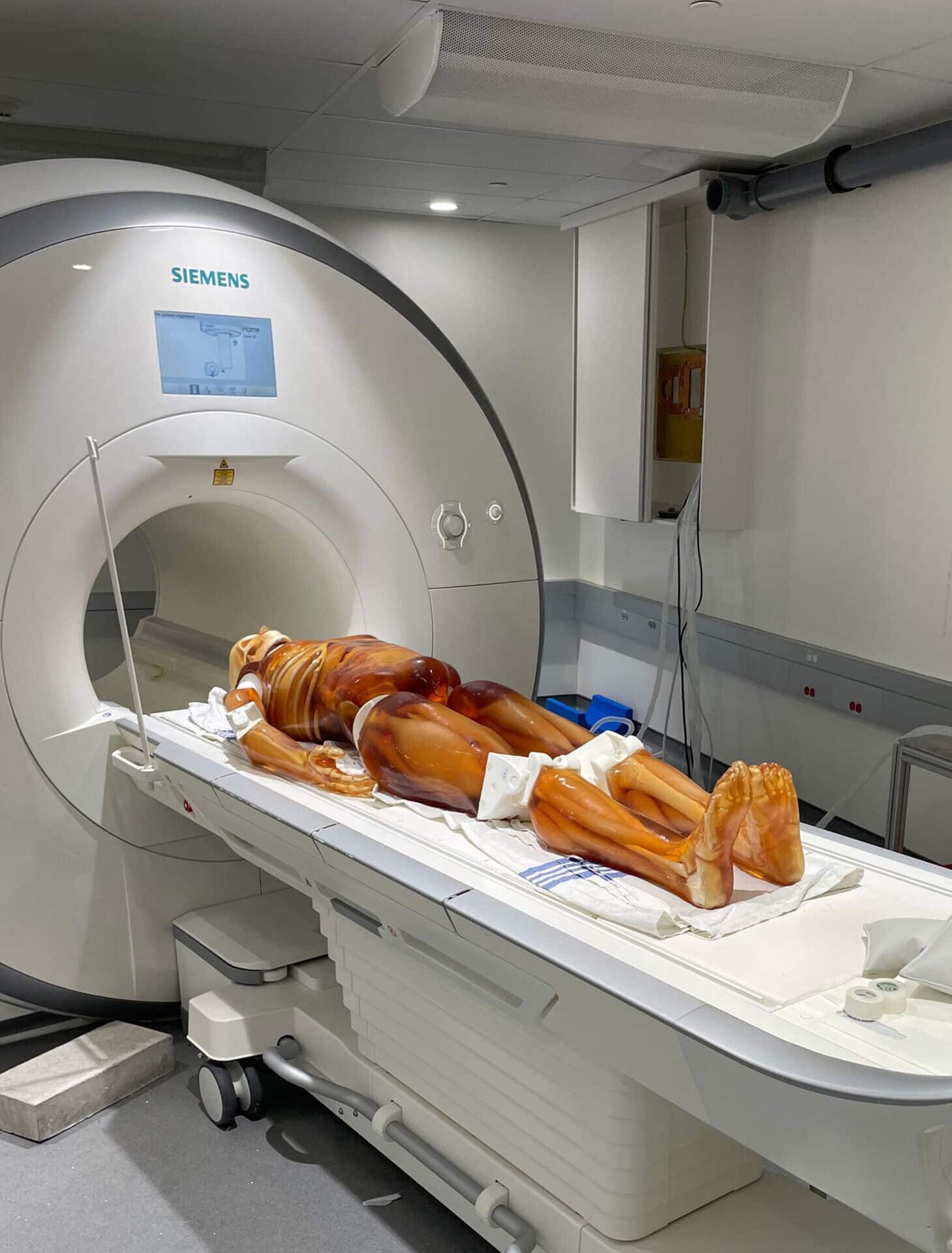 Adult Male Full Body X-Ray/CT and MRI Phantom Model