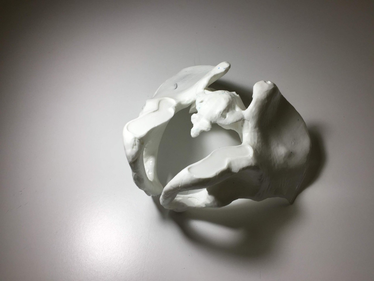 Adult Female Torso for X-Ray CT, MRI