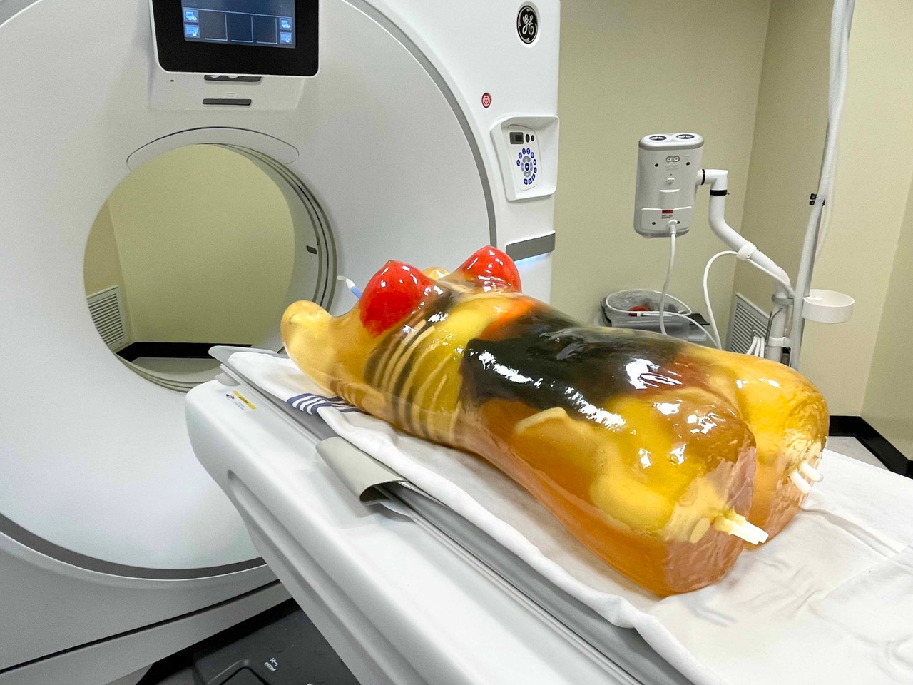 Adult Female Torso for X-Ray CT, MRI