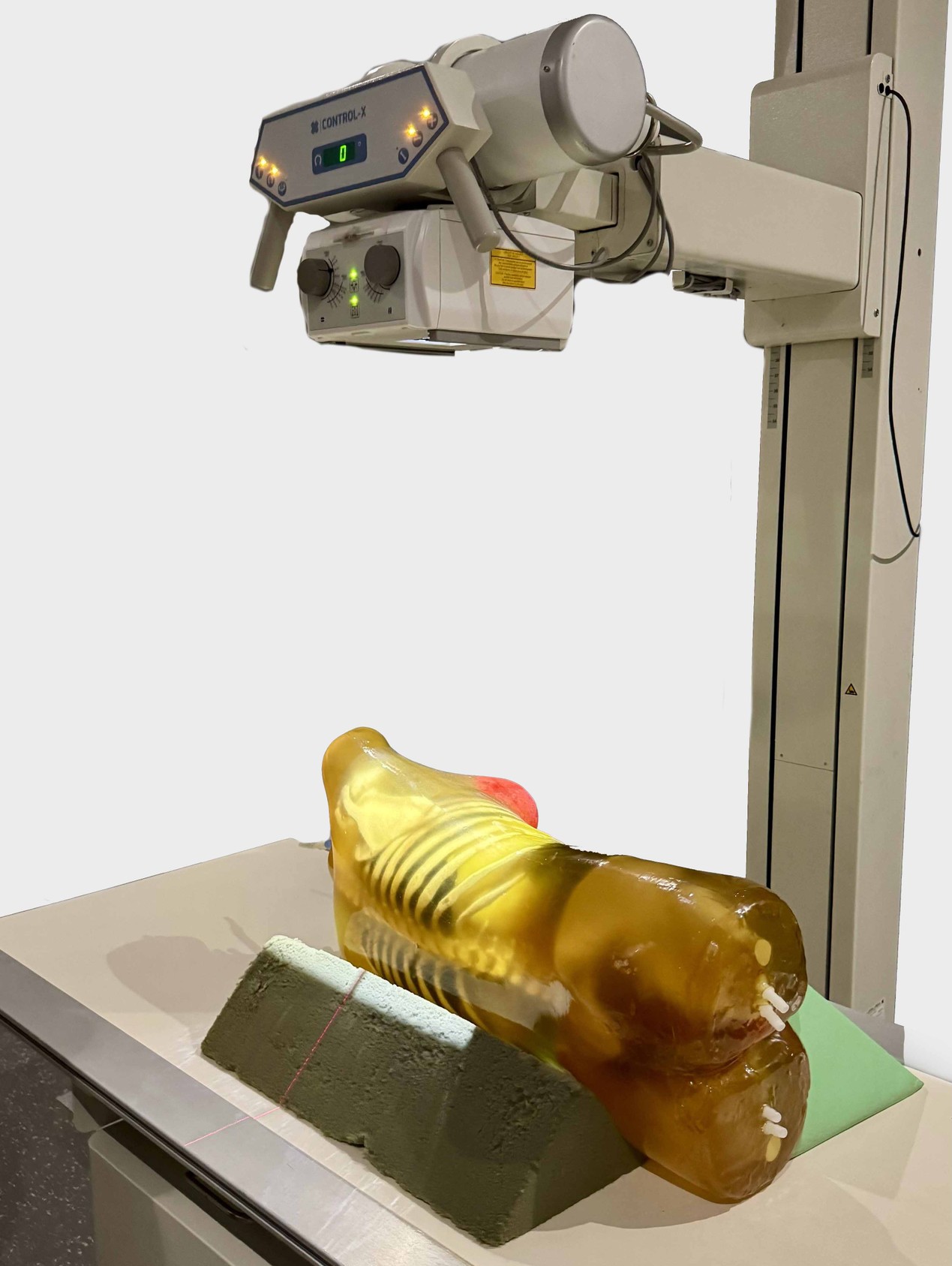 Adult Female Torso for X-Ray CT, MRI