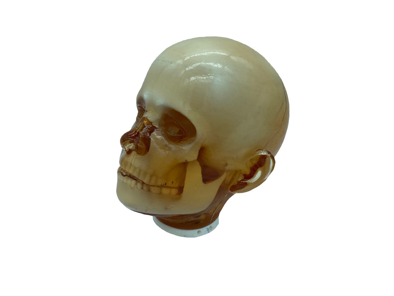 Pediatric 4-Year Old Full Body Phantom Model with Carry Case