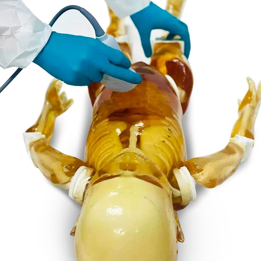 Pediatric 4-Year Old Full Body Phantom Model with Carry Case
