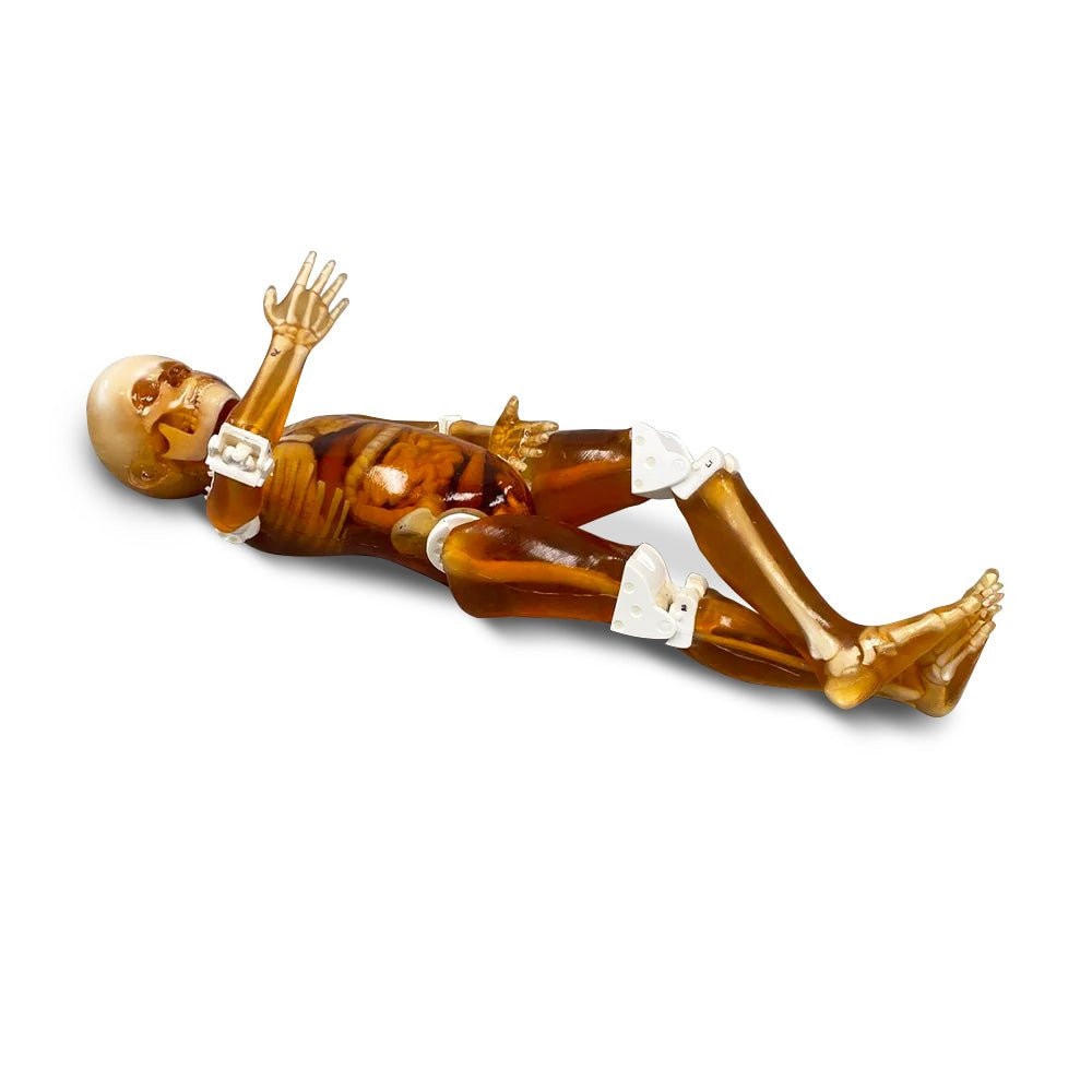 Pediatric 4-Year Old Full Body Phantom Model with Carry Case