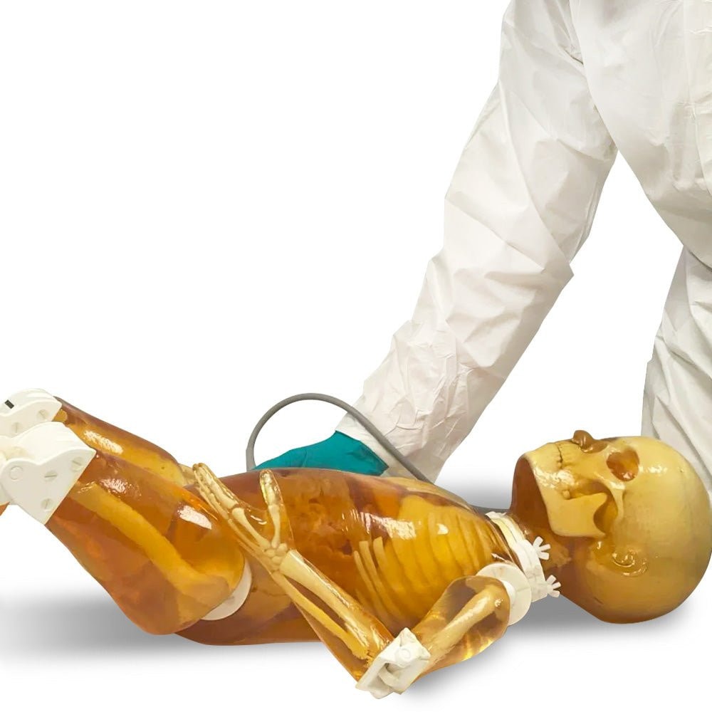 Pediatric 4-Year Old Full Body Phantom Model with Carry Case