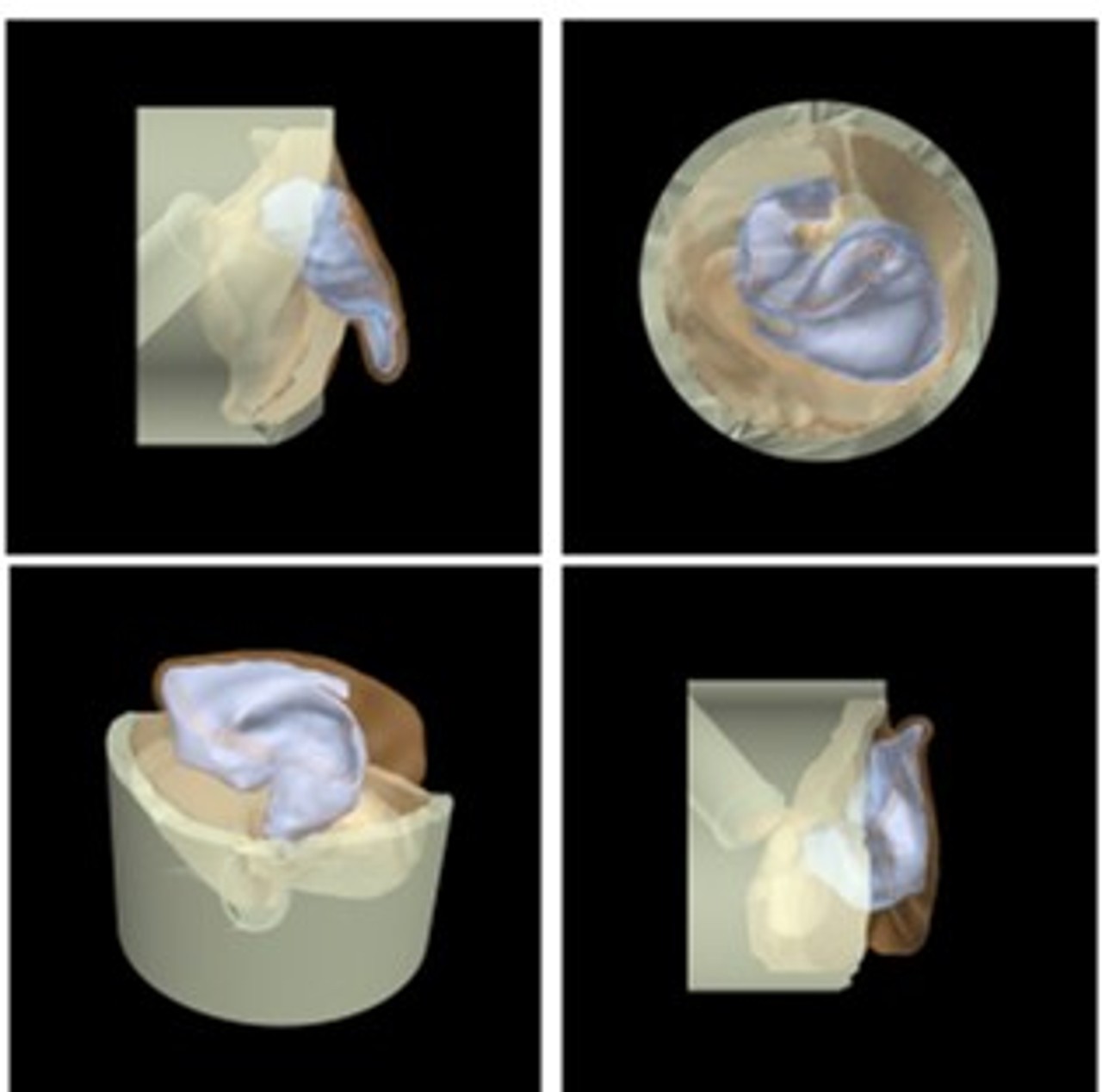 Adult Ear Phantom Model - Design
