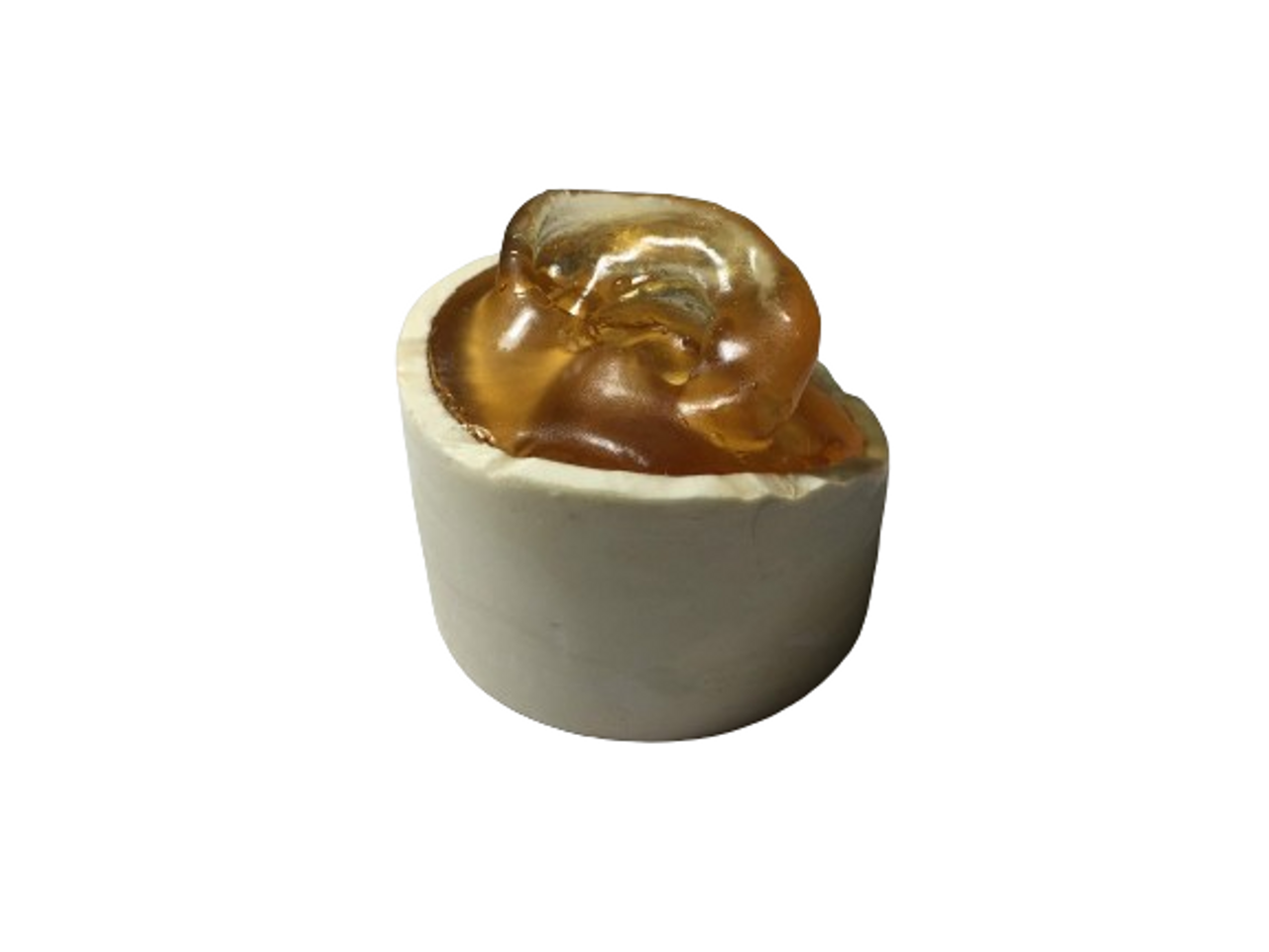 Adult Ear Phantom Model