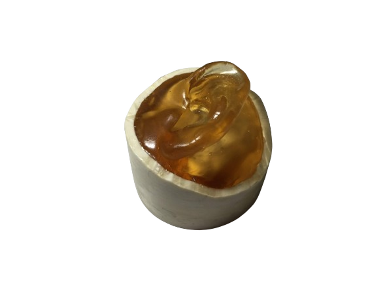 Adult Ear Phantom Model