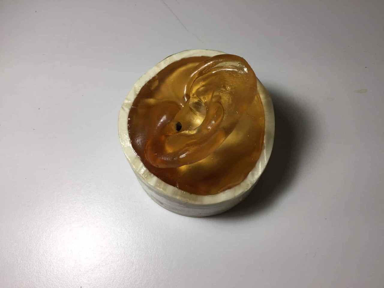 Adult Ear Phantom Model