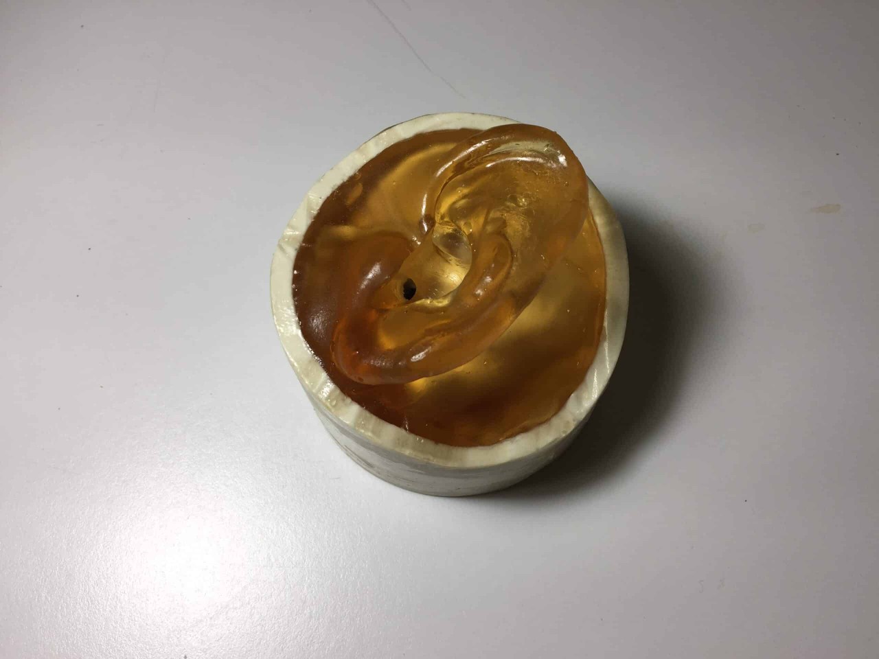 Adult Ear Phantom Model