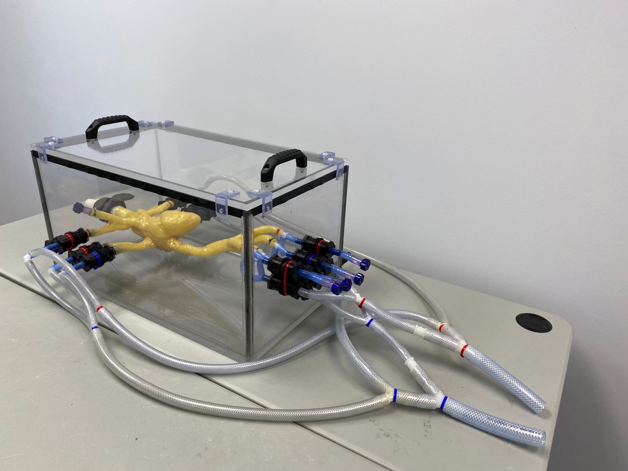 Adult Heart Phantom Model