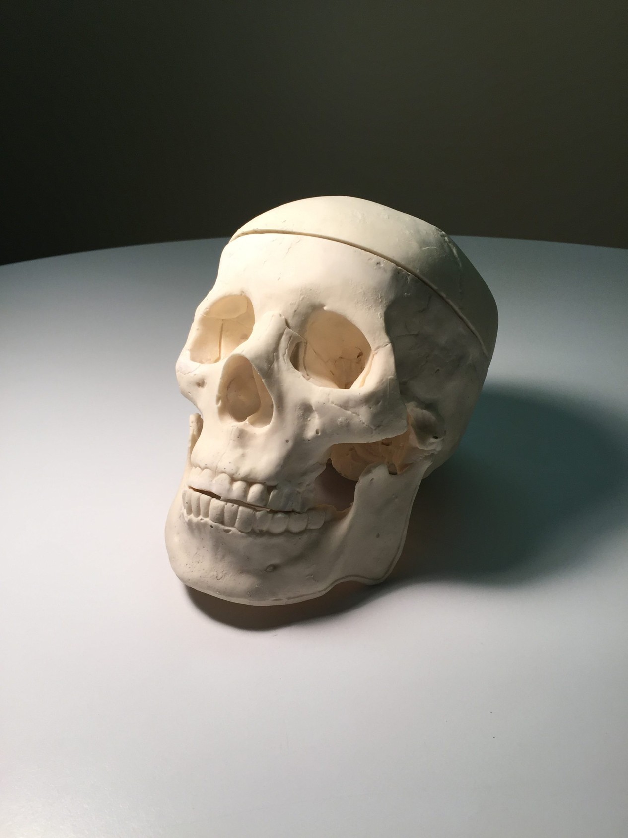 True Phantom Adult Male Skull Phantom | Anatomy Warehouse