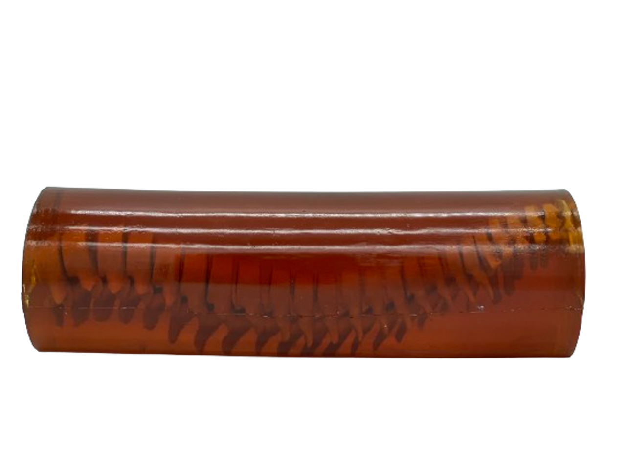 Adult Spine Phantom Model