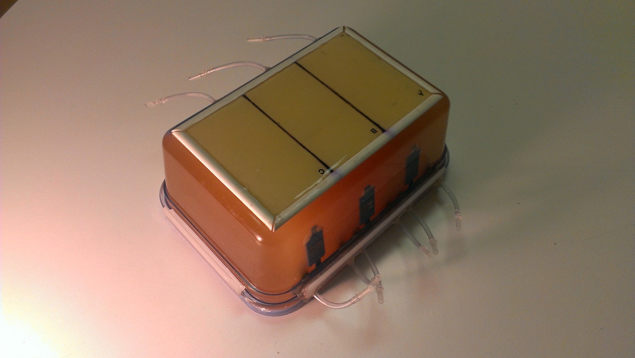 Doppler Phantom Model
