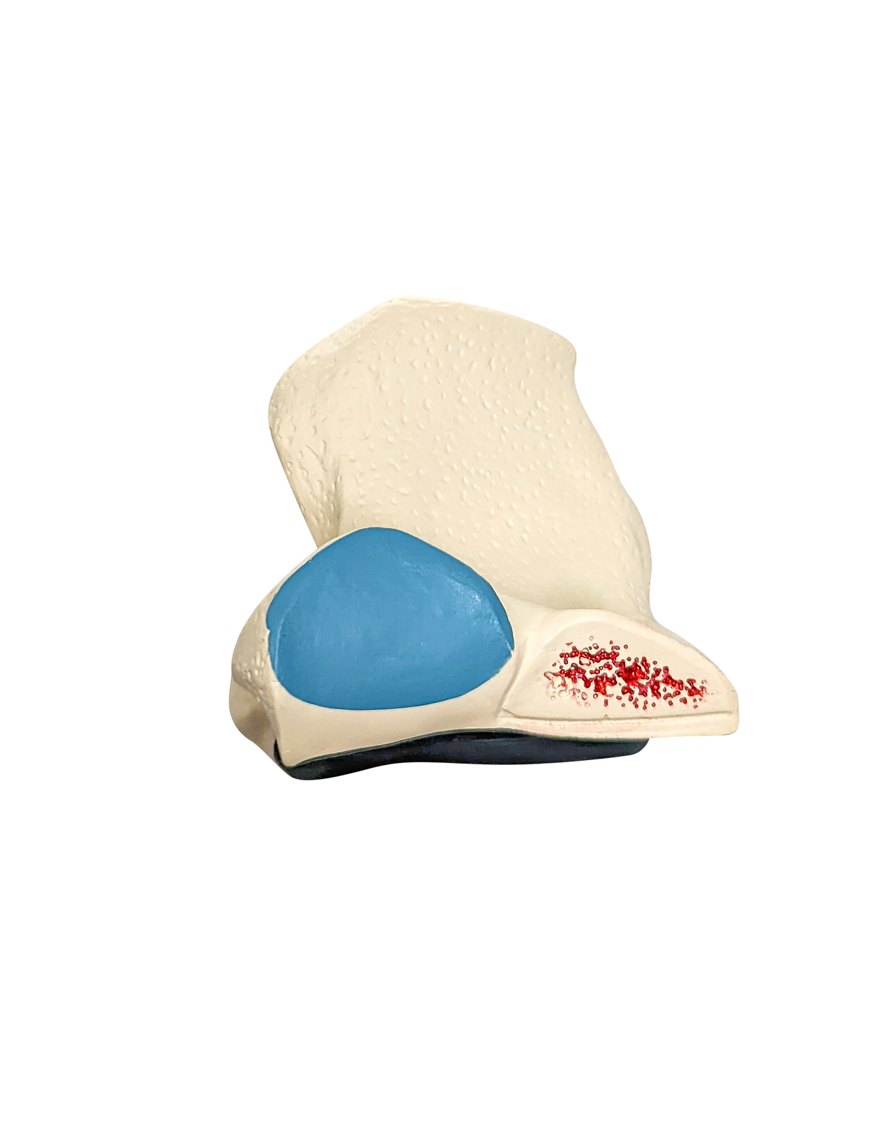 Axis Scientific Enlarged Lumbar Vertebrae with Spinal Cord and Nerves