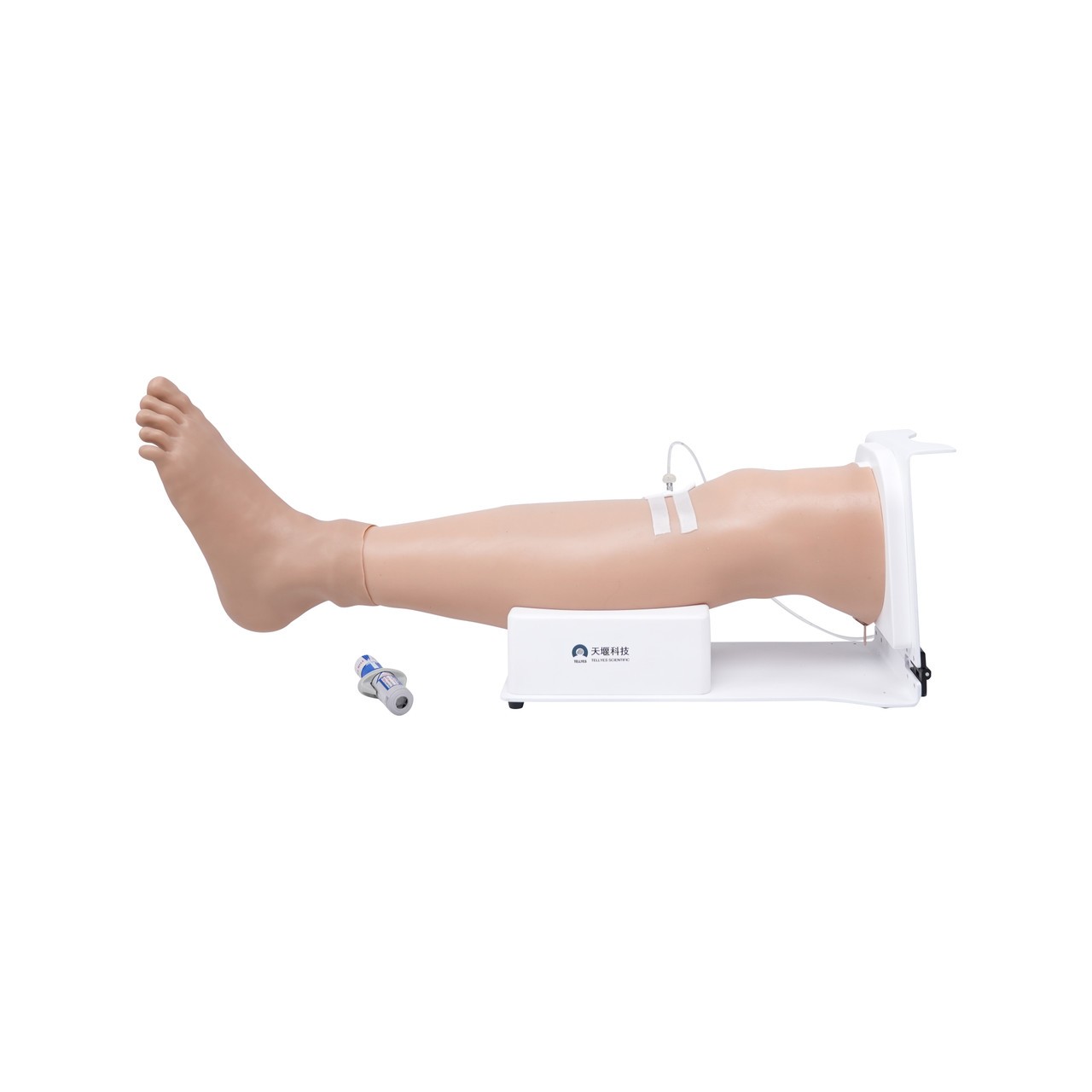 Anatomy Lab Adult Tibial Puncture Leg with Stand - Overview