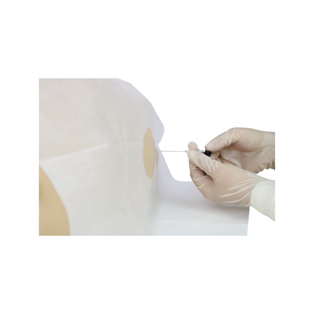 Anatomy Lab Paediatric Lumbar Puncture Simulator - Demo View