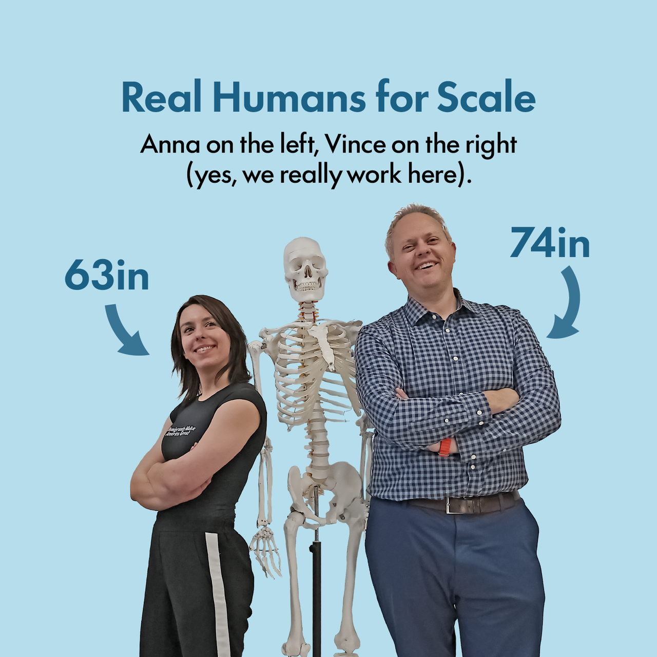 Axis Scientific Classic Human Skeleton with Study and Numbering Guide Model