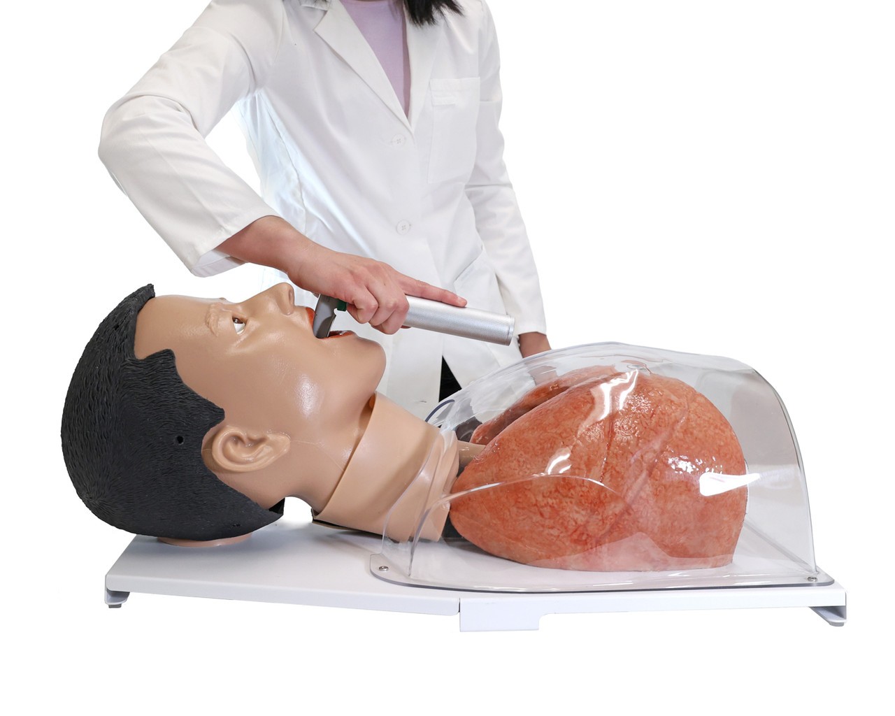 Anatomy Lab Simulated Bronchoscopy Model - Overview
