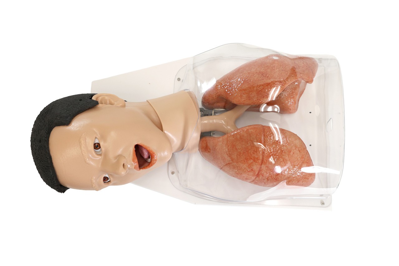 Anatomy Lab Simulated Bronchoscopy Model - Overview