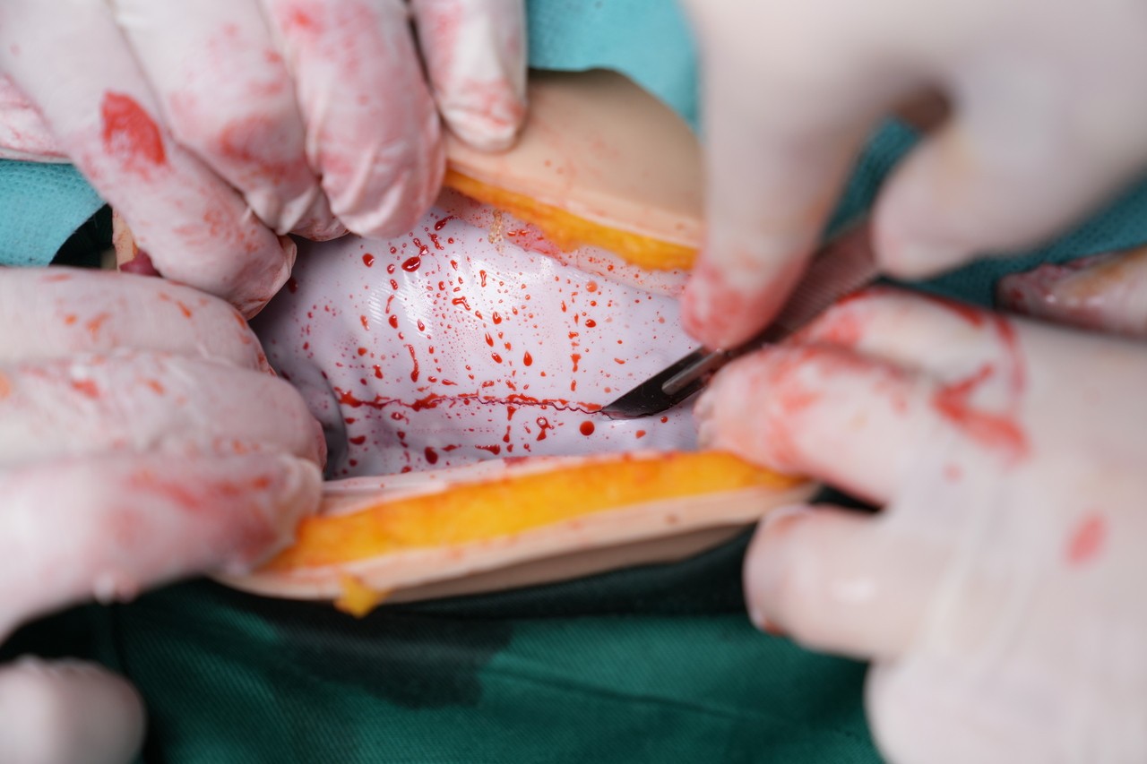 Anatomy Lab Wearable C-Section Simulator