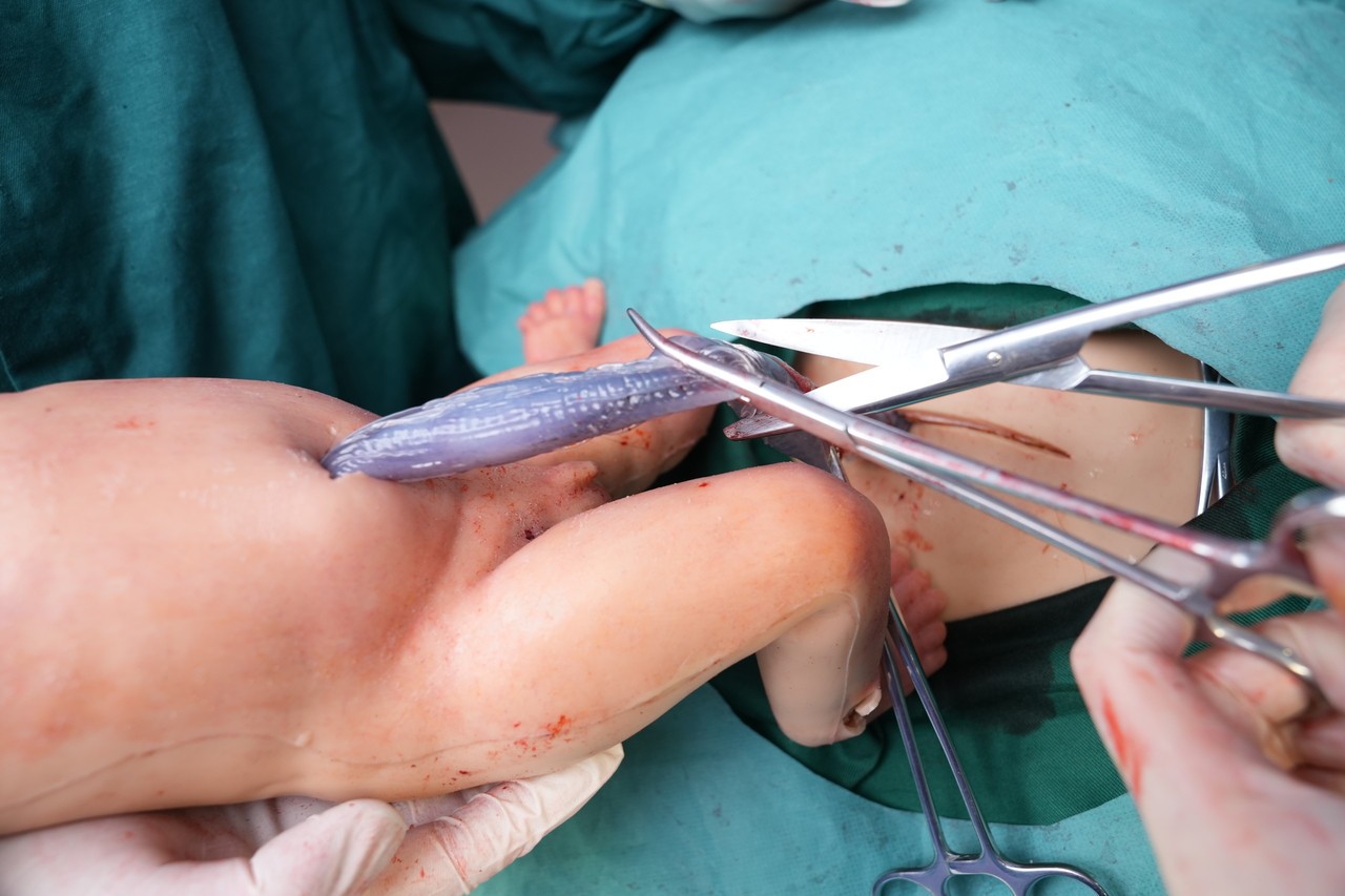Anatomy Lab Wearable C-Section Simulator