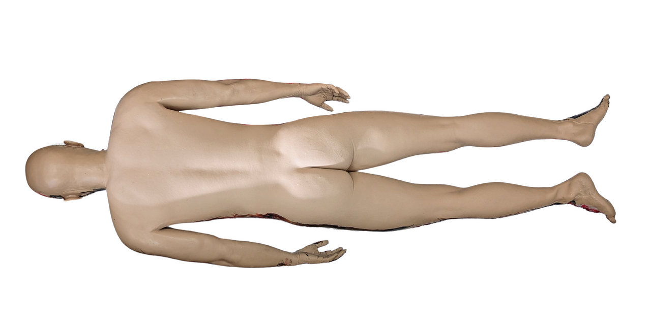 Anatomy Lab Full-Body Burn Assessment Manikin