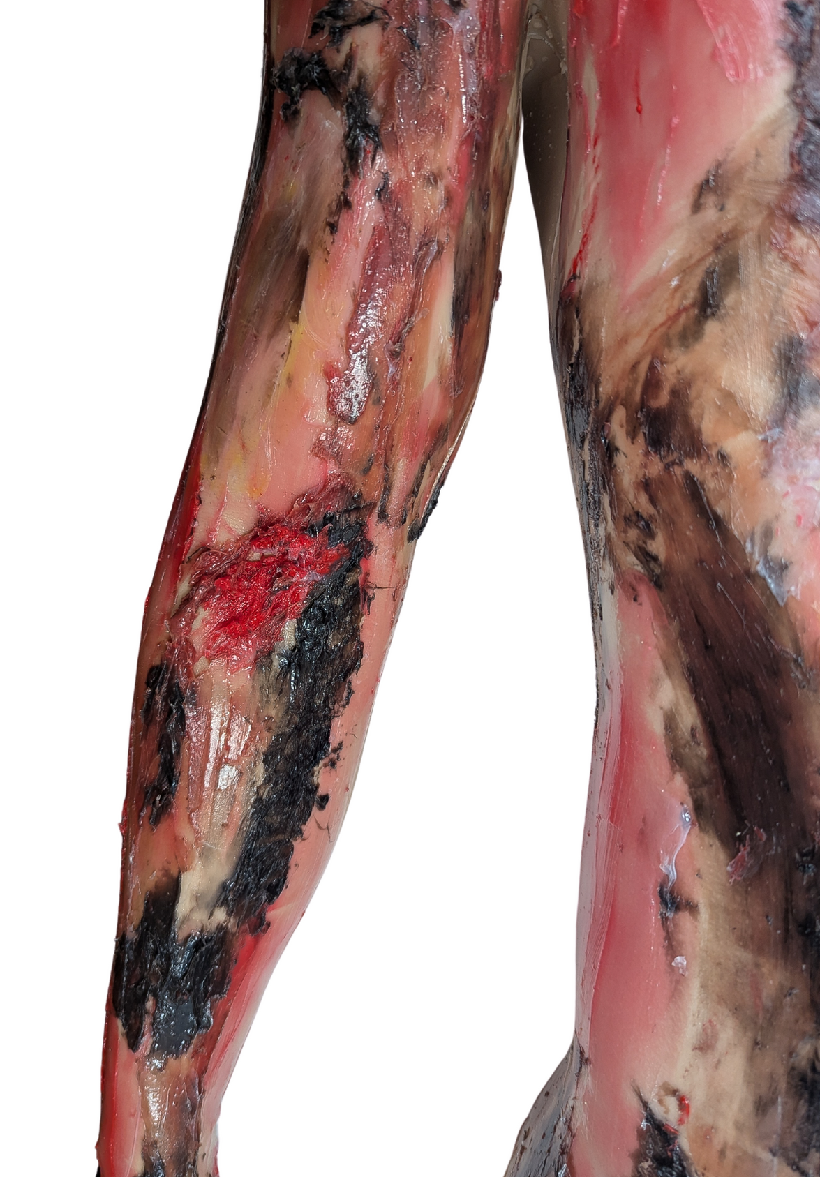 Anatomy Lab Full-Body Burn Assessment Manikin