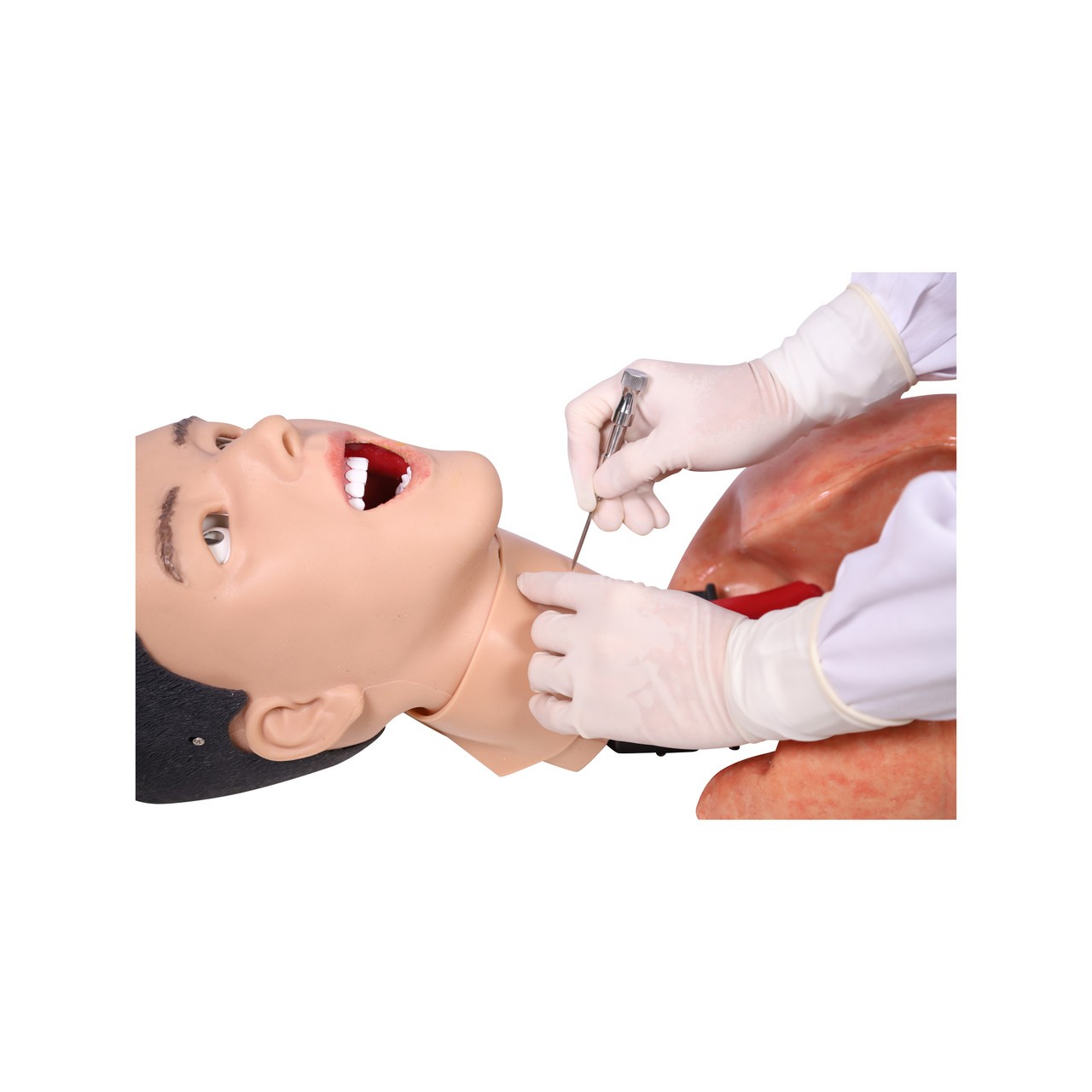 Anatomy Lab Comprehensive Airway Management Model - Demo View